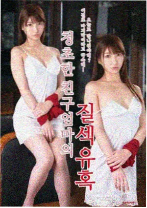 雾港谜案剧集封面
